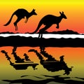 Kangaroo Australia icon