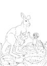 Kangaroo with baby kid in Australia