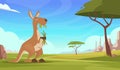 Kangaroo background. Cartoon australian landscape with wildlife animals kangooroo plants and rocks exact vector