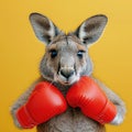 kangaroo boxer, AI generated Royalty Free Stock Photo