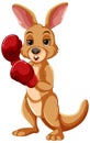 Kangaroo with boxing gloves ready to fight Royalty Free Stock Photo