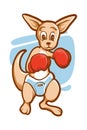 Kangaroo boxing Royalty Free Stock Photo