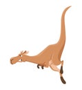 Kangaroo character posing. Adult kangaroo with pouch jumping. Vector flat cartoon animal of australian fauna and