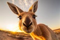 Kangaroo close up taking a selfie. AI Generated Royalty Free Stock Photo