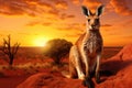 Kangaroo in the desert at sunset, 3d render illustration, Kangaroo at sunset in Kalahari desert, South Africa, An Australian