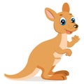 Kangaroo Encounter. Cartoon Australian Animals Vector. Endangered Animals. Cute Wallaroo.