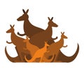 Kangaroo family. kind of Australian wallaby. herd of wild animal