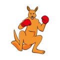 kangaroo fight design illustration Royalty Free Stock Photo