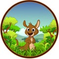 Kangaroo with forest background