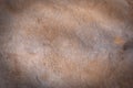 Kangaroo fur texture background Royalty Free Stock Photo