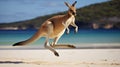 Kangaroo hopping jumping mid air on sand near the surf on the beach at Lucky Bay. generative ai