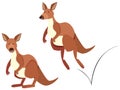 Kangaroo hopping on white background Royalty Free Stock Photo