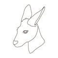 Kangaroo icon in outline style on white background. Realistic animals symbol stock vector illustration.