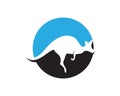 Kangaroo jump animal logo and symbols