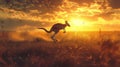 A kangaroo jumping through the grass at sunset