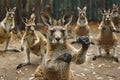 kangaroo kickboxing class for other marsupials, Generative AI