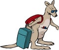 Kangaroo holiday Royalty Free Stock Photo