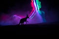 Kangaroo miniature standing at foggy night. Creative table decoration with colorful backlight with fog