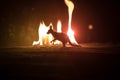 Kangaroo miniature standing at foggy night. Creative table decoration with colorful backlight with fog