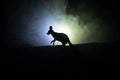 Kangaroo miniature standing at foggy night. Creative table decoration with colorful backlight with fog