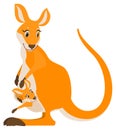 Kangaroo mom and her cub baby vector cartoon illustration Royalty Free Stock Photo