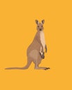 Kangaroo mom hidding her kid in a pocket. Female Australian wallaby take care of her cub