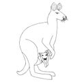 Kangaroo monochrome sketch. Cartoons hand drawn australian animal graphic object isolated design