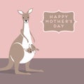 Kangaroo mother and baby in her pouch Royalty Free Stock Photo