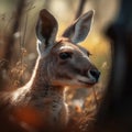 Kangaroo in natural habitat (generative AI