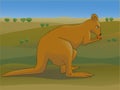 Kangaroo in Outback