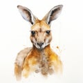 Humorous Kangaroo Watercolor Painting In Conrad Roset Style