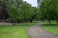 Kangaroo in a picnic park and walking path near Loch McNess Lake in Yanchep National Park Royalty Free Stock Photo