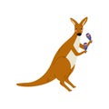 Kangaroo Playing Maracas, Cute Cartoon Animal Musician Character Playing Musical Instrument Vector Illustration