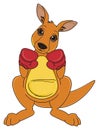 Kangaroo ready to fight Royalty Free Stock Photo