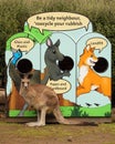 Kangaroo Recycling