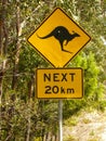 Kangaroo road sign Royalty Free Stock Photo