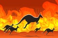 Kangaroo running from forest fires in australia animals dying in wildfire bushfire burning trees natural disaster