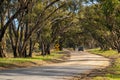 Kangaroo sign along the country road at Onkaparinga River National Park Royalty Free Stock Photo