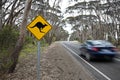 Kangaroo sign on a road