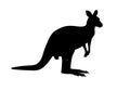Kangaroo silhouette clipart Royalty Free Stock Photo