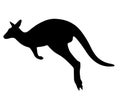 Kangaroo silhouette isolated on white Royalty Free Stock Photo