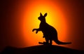 Kangaroo silhouette on sunset