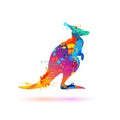 Kangaroo silhouette symbol of splash paint Royalty Free Stock Photo