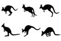 Kangaroo silhouettes Royalty Free Stock Photo