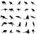 Kangaroo silhouettes set Royalty Free Stock Photo