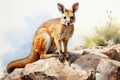 Kangaroo sits on a rock in the desert of Namibia AI Generated Generative AI