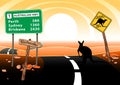 Kangaroo standing on road in the Australian outback Royalty Free Stock Photo
