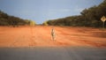 Kangaroo is standing on road. End of the road bitumen.