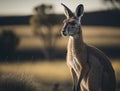 Portrait of Kangaroo with side view in blurred green grassland background (generative AI)