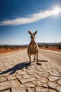 Lone Kangaroo Standing Tall on Cracked Earth Road Under the Australian Sun Royalty Free Stock Photo